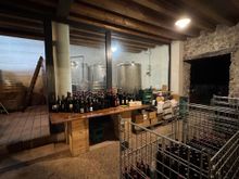 The wine cellar