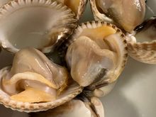 Berberechos, a fine Galcian clam; simply steamed.