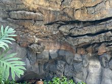 interior or Manrique house!!!