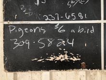 Money making opportunity at hand.