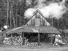 Where we get our maple syrup