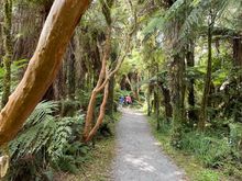 Another lovely short walk 