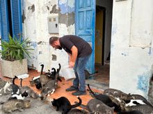 SAnta Marina Salina has a large cat colony and this man, and his father feed them four times a day.   They are super friendly to humans and nestle up if you sit on a bench near where they congregate.  But they will depart with the flick of a hand.  I was so touched by the dedication of this team in taking care of these little fuzzy animals...