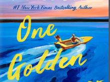 Probably will be disappointed but looked like a nice beach read. I won’t get it from holds until winter, lol. 