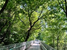 Working our way towards the Governor's Boardwalk