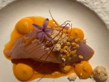 Bonito del Norte, a variety of Atlantic tuna, over two consistencies of an emulsion made from pimenton (smoked paprika), garlic, and olive oil....