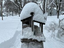 My bird feeder again.