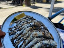 Grilled sardines