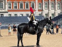 The head guy, I guess, he had the most gold braids and was bossing the other guys around!