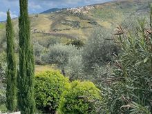 Views around the estate