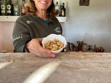 Sara offering almonds picked today, and toasted and bathed with oil and salt..addictive, just fantastic!!!