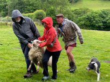 Bringing back contestant #1