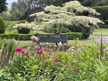 Hope Park just down from our hotel