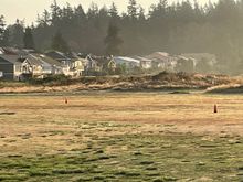 Could it be because these houses once faced a golf course that has been let go to seed and now it's a nature walk?