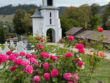 View from the church. Lots of pink roses!