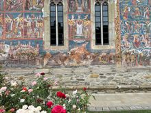 The paintings are set on a beautiful blue background. 