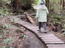 A number of board walks on the trail.