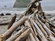 This is a random pile of logs that have been done by humans.  On our way back up the hill we passed about 10 people who had permits to actually camp on the beach.  Too much gear for us to schlep to the beach!