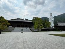Tsz Shan Monastery in Tai Po