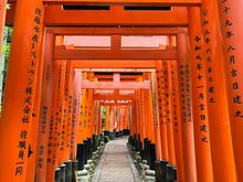 Worth climbing up the top if you want to lose 99% of the tourists