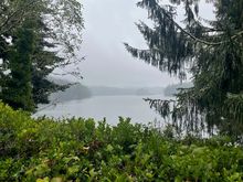 Started raining about midnight and this was the same view in the morning.