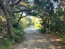 We've been told we can walk to the beach from our campsite so we head out on the trail.  It's a very nice trail but it's sand which is odd because it seems like we are in the forest?