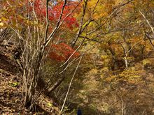 On the way down from the peak