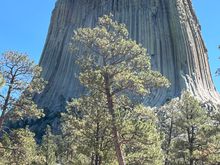 Devils Tower in Wyoming.