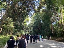 Walking to the shrine along the path