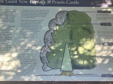 This is an explanation of the topiary - not a great photo though