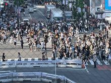 The Crossing