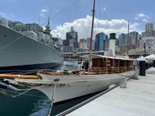 The Steam Yacht Ena. 