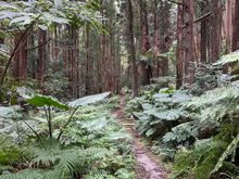 A wonderful walk into the beauty of the island 