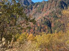 Colors in the mountain 