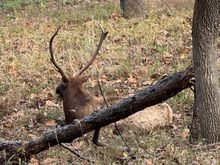 Hey buddy, turn around!!!