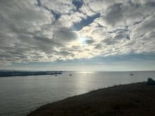 From my walk this morning 