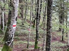 Red/ white marker denotes mountain trail 