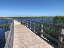Beautiful Greenwich Dunes boardwalk over the pond