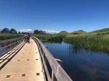 Dunelands boardwalk