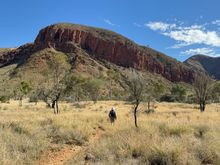 A lonely Dave led the way