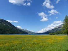 Looking back at where we were : towards Silvaplana and Surlej 