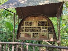 pollinator hotel