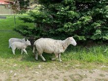 Almost the only sign of life we saw in 3.5 hours of walking