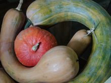 We'd been warned that Luz's weekly market was too small, but in fact we were pleasantly surprised at its depth and breadth. It felt tightly-organized and was definitely not too small for our needs. *Folks will tell you that the biggest and best local market in their estimation is up in nearby Argeles-Gazost town.