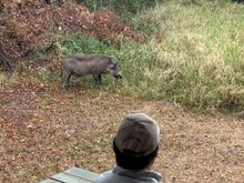 A surprise morning visit.