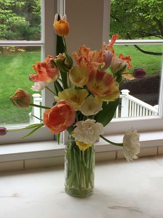 For Iris and his DW...