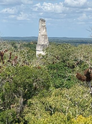 Temple #4.  Tikal.