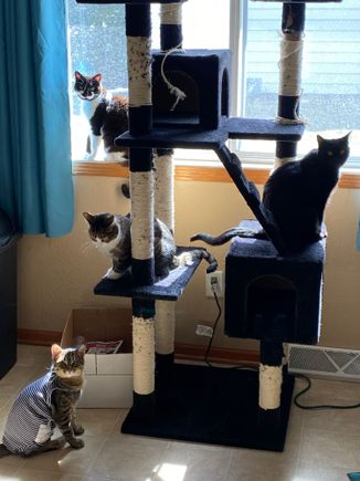 This striped outfit is especially cute