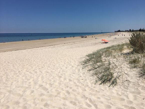 Family fun day at the beach for lots of people