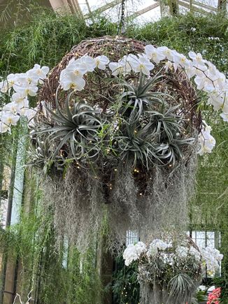 A hanging basket